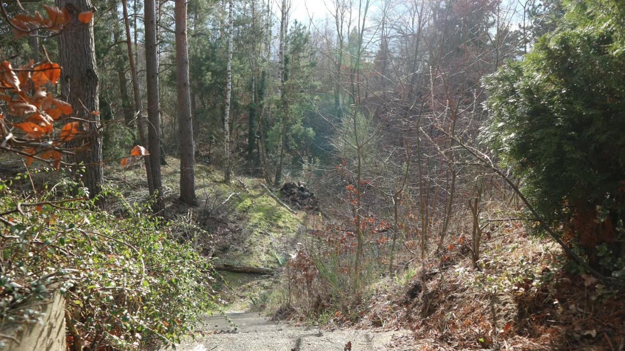 Ferienhaus Mit Pool Zum Traeumen Und Entspannen Fuer Alle Sinne Bad Schmiedeberg Bagian luar foto